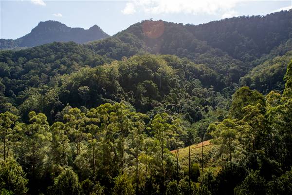 Tunsted Private Property Crystal Creek Valley (1/06/2017 - Credits: Colin McDougall)