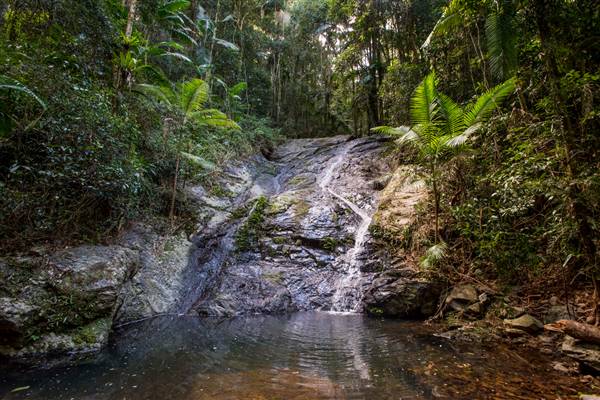 Tunsted Private Property Crystal Creek Valley (1/06/2017 - Credits: Colin McDougall)