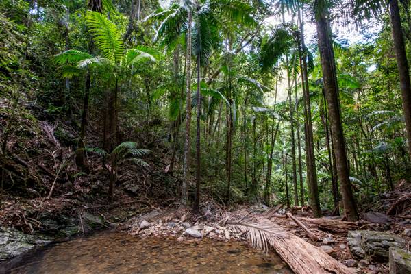 Tunsted Private Property Crystal Creek Valley (1/06/2017 - Credits: Colin McDougall)