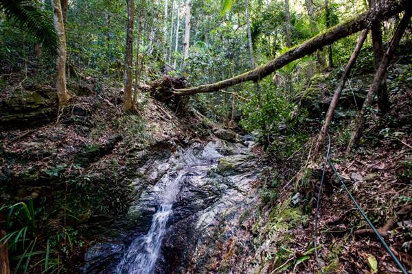 Tunsted Private Property Crystal Creek Valley (1/06/2017 - Credits: Colin McDougall)