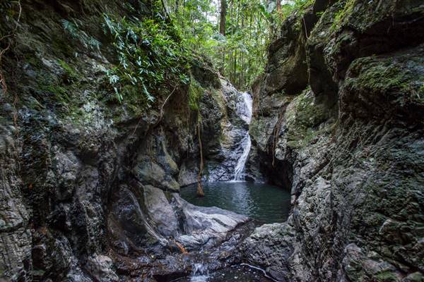 Tunsted Private Property Crystal Creek Valley (1/06/2017 - Credits: Colin McDougal)