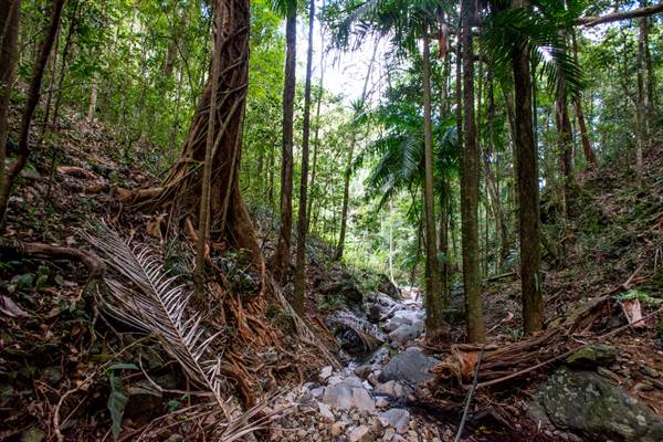 Tunsted Private Property Crystal Creek Valley (8/06/2017 - Credits: Colin McDougal)