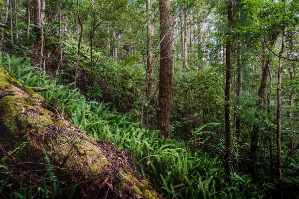 Tunsted Private Property Crystal Creek Valley (8/06/2017 - Credits: Colin McDougal)