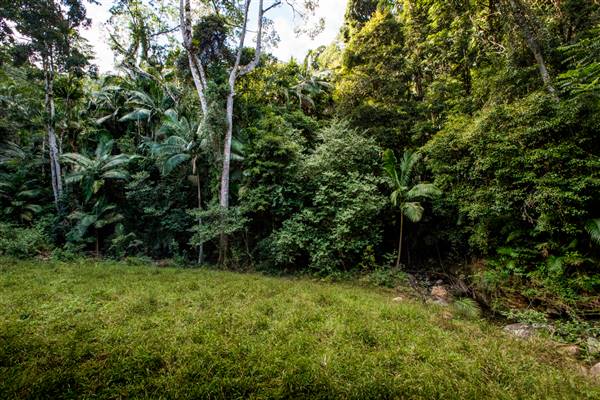 Tunsted Private Property Crystal Creek Valley (8/06/2017 - Credits: Colin McDougal)