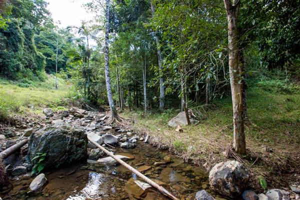 Tunsted Private Property Crystal Creek Valley (8/06/2017 - Credits: Colin McDougal)