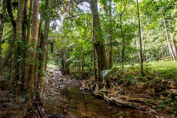 Tunsted Private Property Crystal Creek Valley (8/06/2017 - Credits: Colin McDougal)