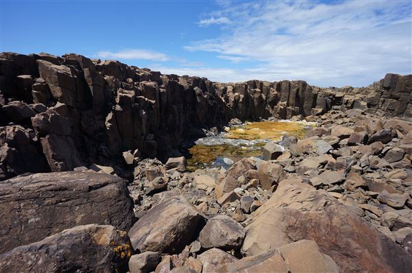 Bombo Headland Quarry (2/02/2018 - Credits: Mary Barltrop)