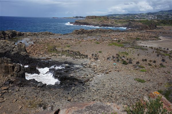 Bombo Headland Quarry (2/02/2018 - Credits: Mary Barltrop)