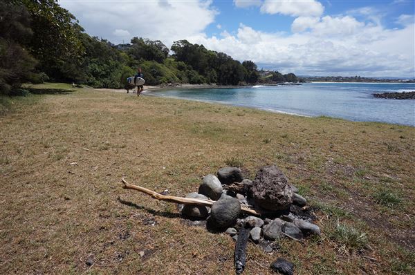 Cameron Boyd Reserve (2/02/2018 - Credits: Mary Barltrop)
