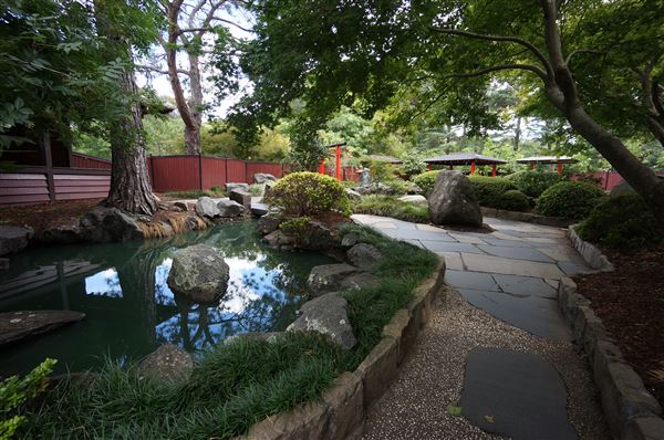 Auburn Botanic Gardens - Japanese Garden (4/02/2018 - Credits: Mary Barltrop)