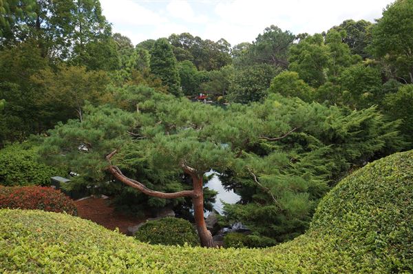 Auburn Botanic Gardens - Japanese Garden (4/02/2018 - Credits: Mary Barltrop)