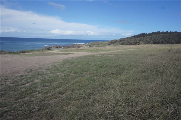 Bass Point Reserve (2/02/2018 - Credits: Mary Barltrop)