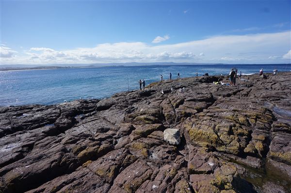 Bass Point Reserve (2/02/2018 - Credits: Mary Barltrop)