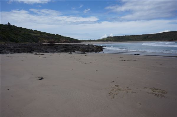 Killalea Regional Park (2/02/2018 - Credits: Mary Barltrop)