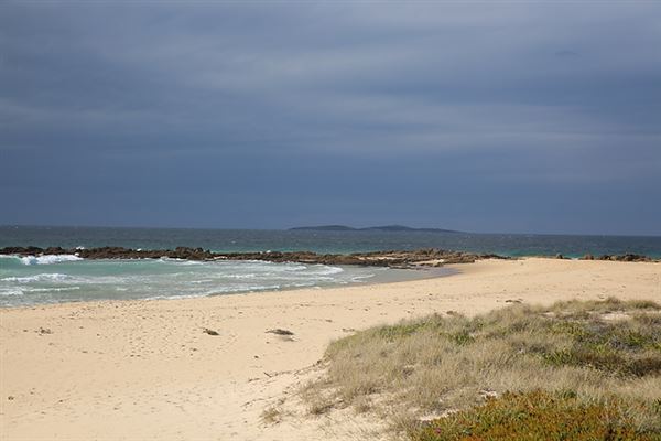 Dalmeny (6/08/2018 - Credits: Lisa Scope)