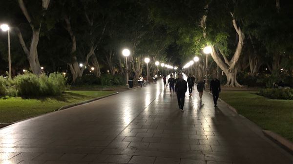Sydney at Night (22/07/2018 - Credits: Shannon Wheeler)