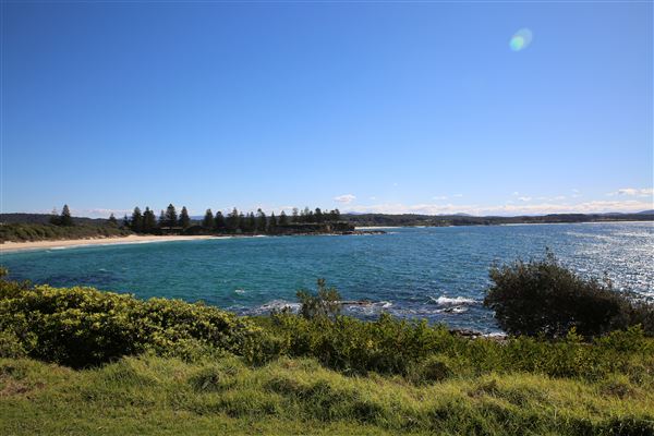 Bermagui (4/08/2018 - Credits: Lisa Scope)