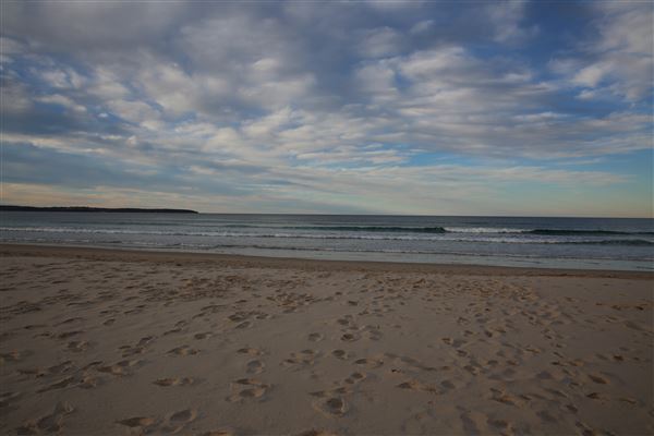 Pambula & Pambula Beach 2018 (5/08/2018 - Credits: Lisa Scope)