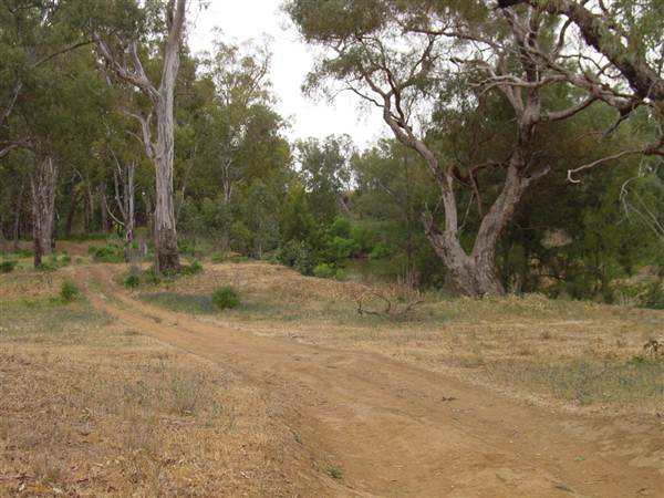 Whylandra Crossing, Dubbo (22/08/2018 10:29:41 PM)