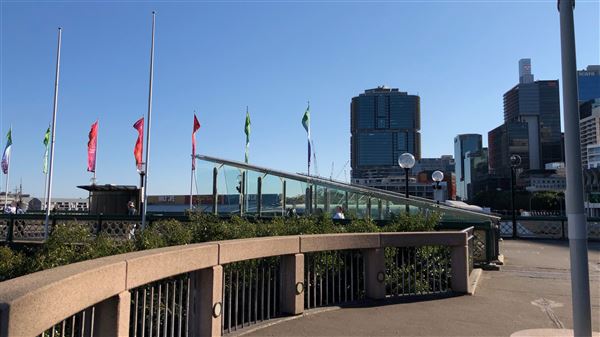 Darling Harbour (15/08/2018 - Credits: Shannon Wheeler)