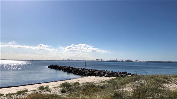 Bonna Point Reserve (23/05/2018 - Credits: Shannon Wheeler)
