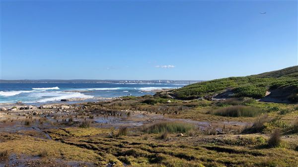 Kamay Botany Bay National Park (23/05/2018 - Credits: Shannon Wheeler)