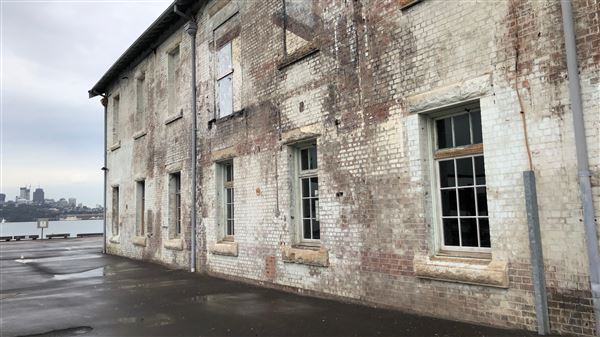 Cockatoo Island - Industrial Precinct (31/08/2018 - Credits: Shannon Wheeler)