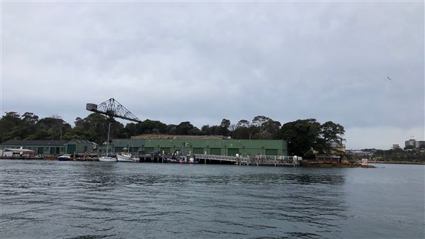 Goat Island (31/08/2018 - Credits: Shannon Wheeler)