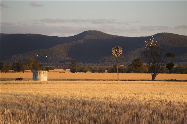 Narrabri Shire (21/09/2017 - Credits: Shane Strudwick)