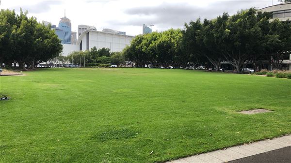 Pyrmont Bay Park (26/10/2018 - Credits: Shannon Wheeler)