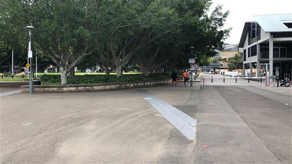 Pyrmont Bay Park (26/10/2018 - Credits: Shannon Wheeler)