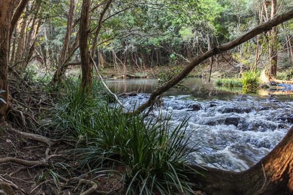 Clarrie Hall Dam (1/11/2018)