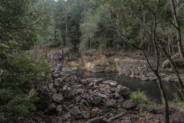 Clarrie Hall Dam (1/11/2018)