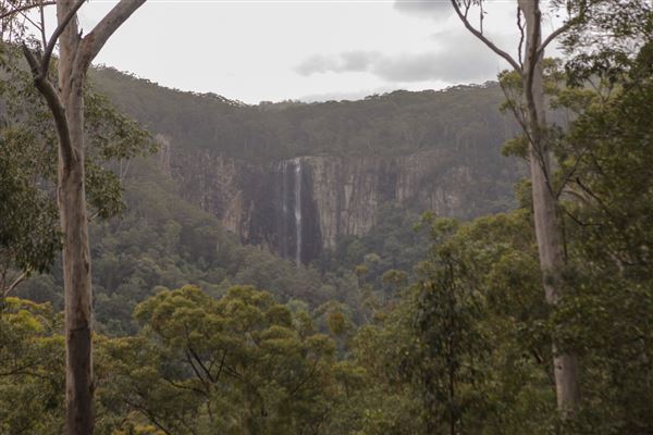 Minyon Falls - Nightcap National Park (1/11/2018)