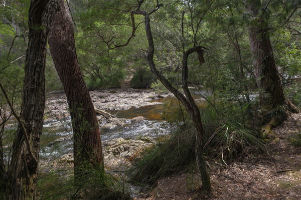 Minyon Falls - Nightcap National Park (1/11/2018)