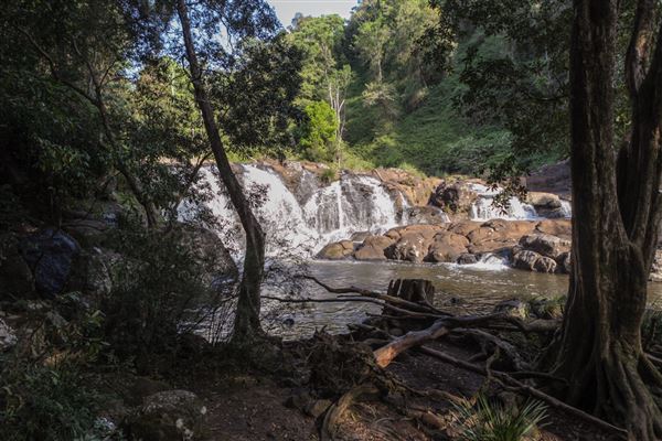Whian Whian Falls (1/11/2018)