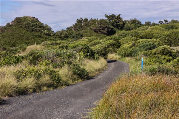 Bombo Headland Quarry (30/10/2018 - Credits: Chris Reynolds)