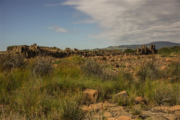 Bombo Headland Quarry (30/10/2018 - Credits: Chris Reynolds)