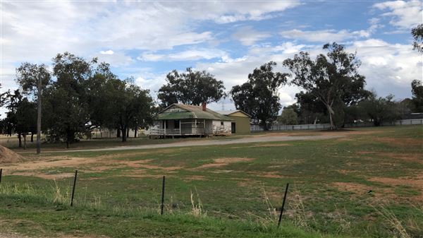 Calala (17/09/2018 - Credits: Shannon Wheeler)
