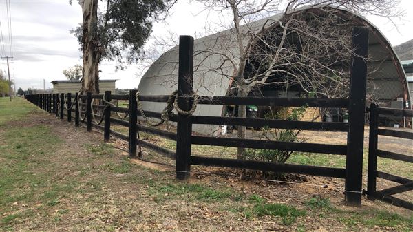 East Tamworth (17/09/2018 - Credits: Shannon Wheeler)