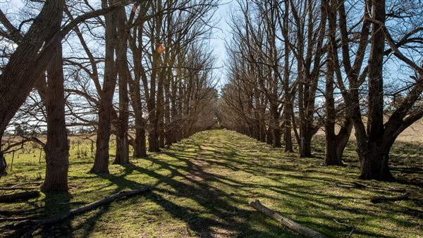 Armidale (20/09/2018 - Credits: Colin McDougall)