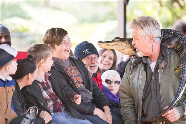 The Australian Reptile Park (25/02/2019 - Credits: Australian Reptile Park)