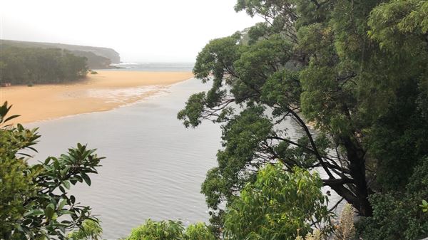 Wattamolla Beach (17/03/2019 - Credits: Shannon Wheeler)