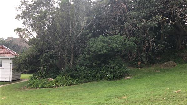 Strickland House - Sydney Harbour National Park (20/05/2019 - Credits: Shannon Wheeler)