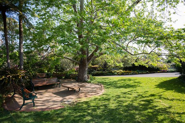 Camelia Gardens (16/07/2019)