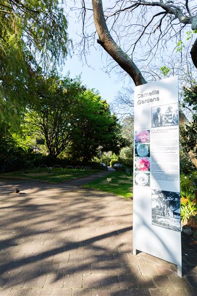 Camelia Gardens (16/07/2019)