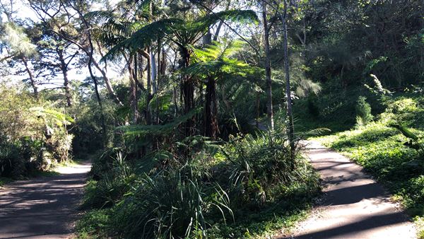 Trumper Park (24/08/2019 - Credits: Shannon Wheeler)