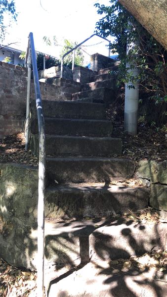 Trumper Park (24/08/2019 - Credits: Shannon Wheeler)