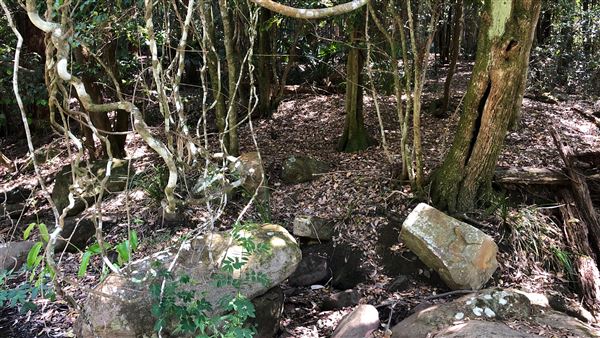 Otford Farm - Paintball Property (19/11/2019 - Credits: Screen NSW)
