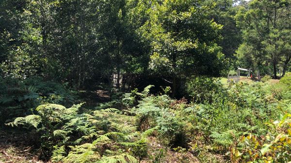 Otford Farm - Paintball Property (19/11/2019 - Credits: Screen NSW)